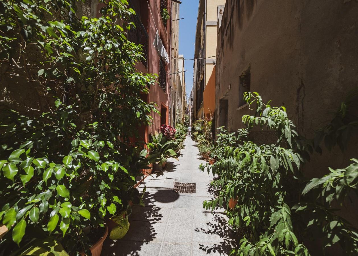Appartamento Maestrale - Quartiere Castello كالياري المظهر الخارجي الصورة