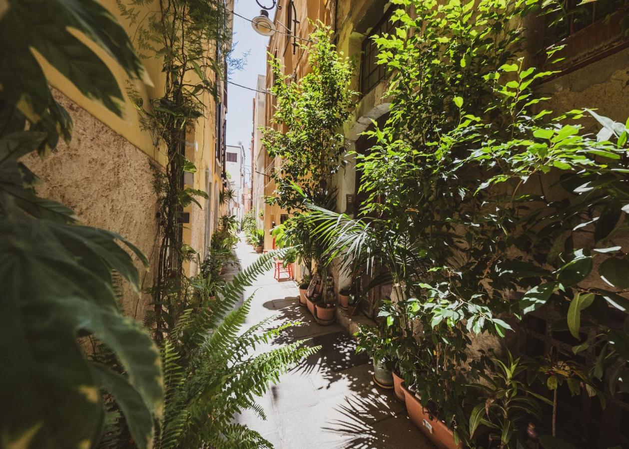 Appartamento Maestrale - Quartiere Castello كالياري المظهر الخارجي الصورة
